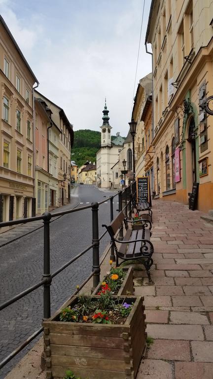 Siglisberg Villa Banská Štiavnica Værelse billede