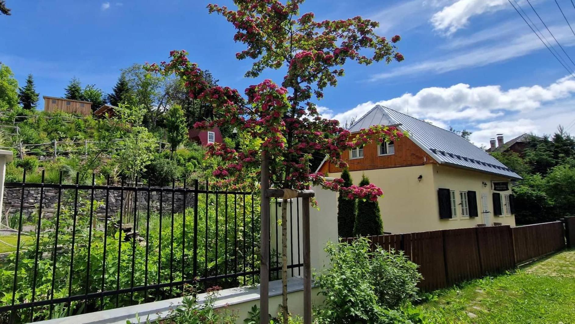 Siglisberg Villa Banská Štiavnica Eksteriør billede